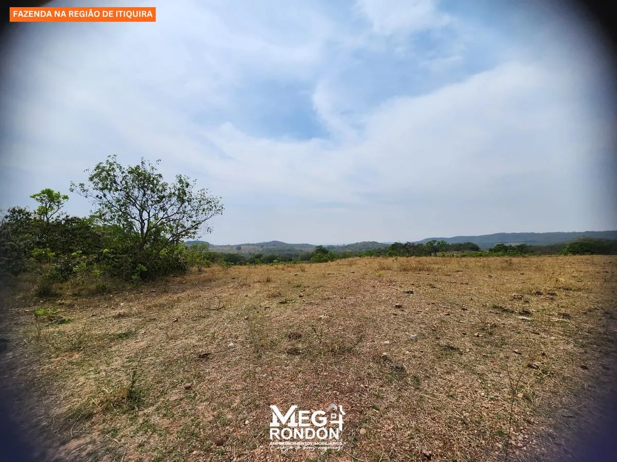 🏡 FAZENDA À VENDA NA REGIÃO DE ITIQUIRA – MT ID:FZ03 — foto 14