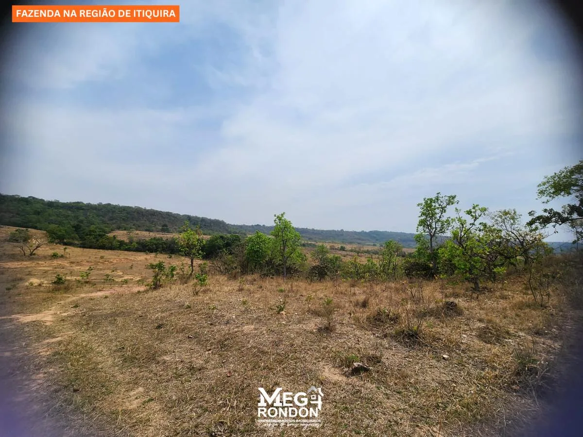 🏡 FAZENDA À VENDA NA REGIÃO DE ITIQUIRA – MT ID:FZ03 — foto 15