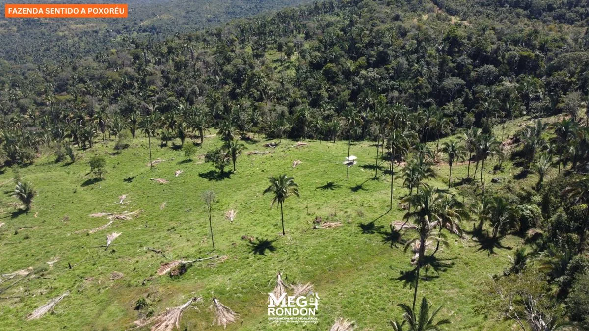 🏡FAZENDA À VENDA NA REGIÃO RONDONÓPOLIS À POXORÉU – MT — foto 5