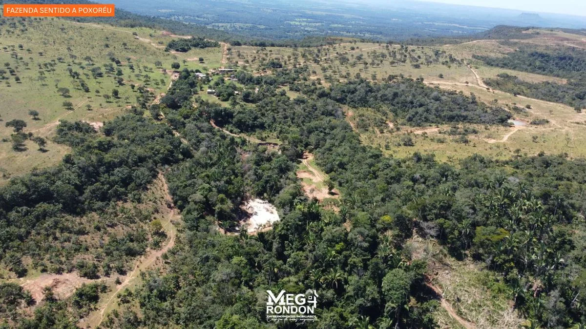 🏡FAZENDA À VENDA NA REGIÃO RONDONÓPOLIS À POXORÉU – MT — foto 6