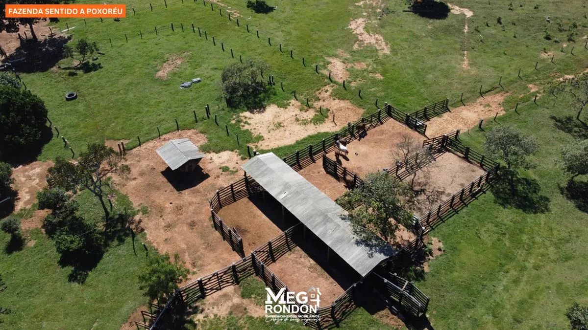 🏡FAZENDA À VENDA NA REGIÃO RONDONÓPOLIS À POXORÉU – MT — foto 8