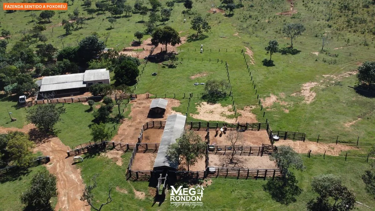 🏡FAZENDA À VENDA NA REGIÃO RONDONÓPOLIS À POXORÉU – MT — foto 9