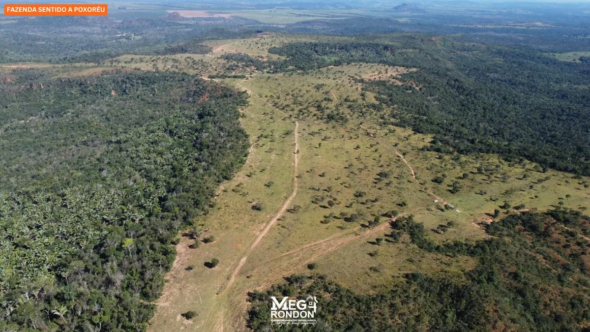 🏡FAZENDA À VENDA NA REGIÃO RONDONÓPOLIS À POXORÉU – MT — foto 14