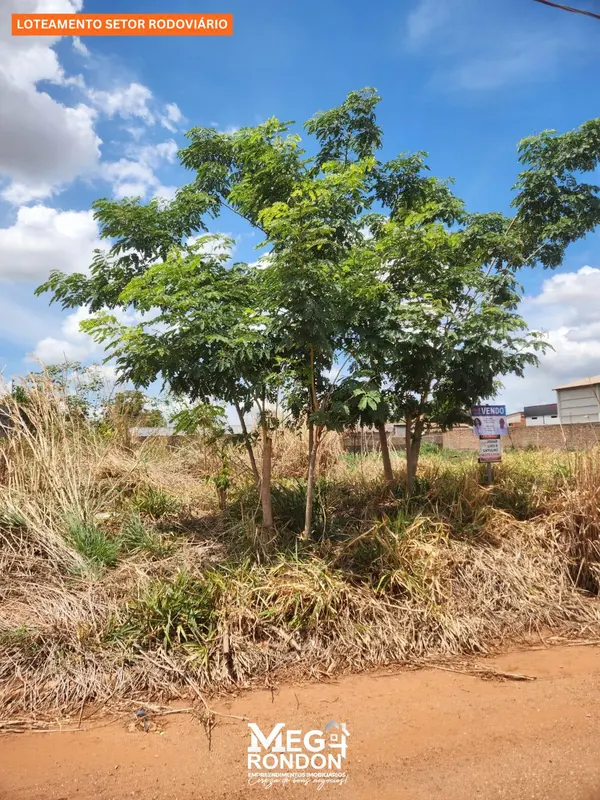 🏡 TERRENOS À VENDA NO BAIRRO LOTEAMENTO RODOVIÁRIO, RONDONÓPOLIS – MT ID:TR52