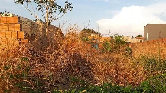 🌳TERRENO À VENDA NO BAIRRO SAGRADA FAMÍLIA, RONDONÓPOLIS - MT — foto 2