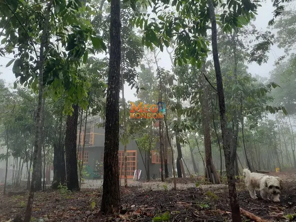 🏡 CHÁCARA À VENDA CHAPADA DOS GUIMARÃES - MT