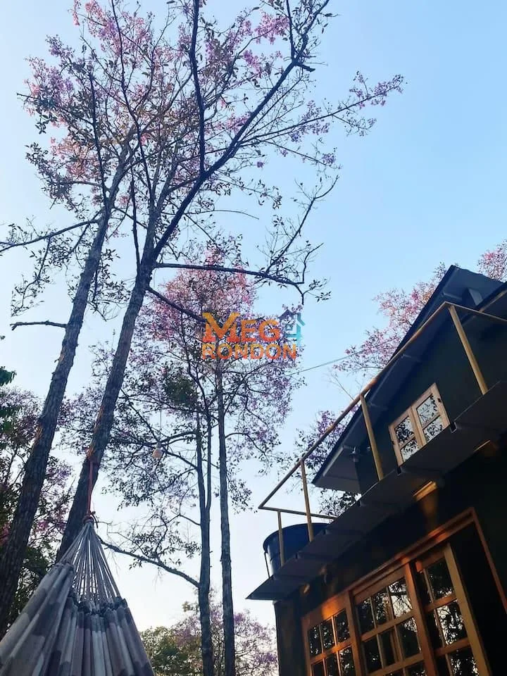 🏡 CHÁCARA À VENDA CHAPADA DOS GUIMARÃES - MT — foto 5