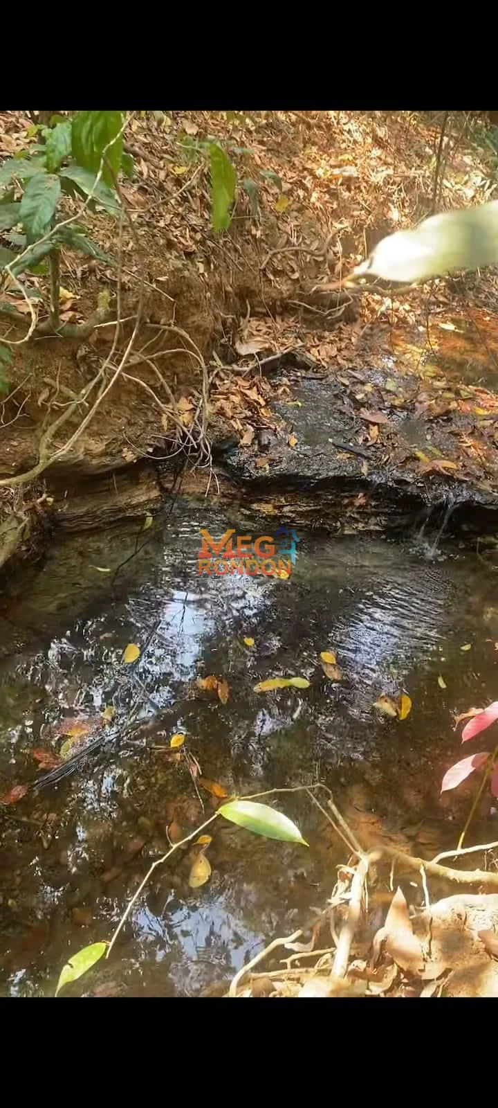 🏡 CHÁCARA À VENDA CHAPADA DOS GUIMARÃES - MT — foto 12