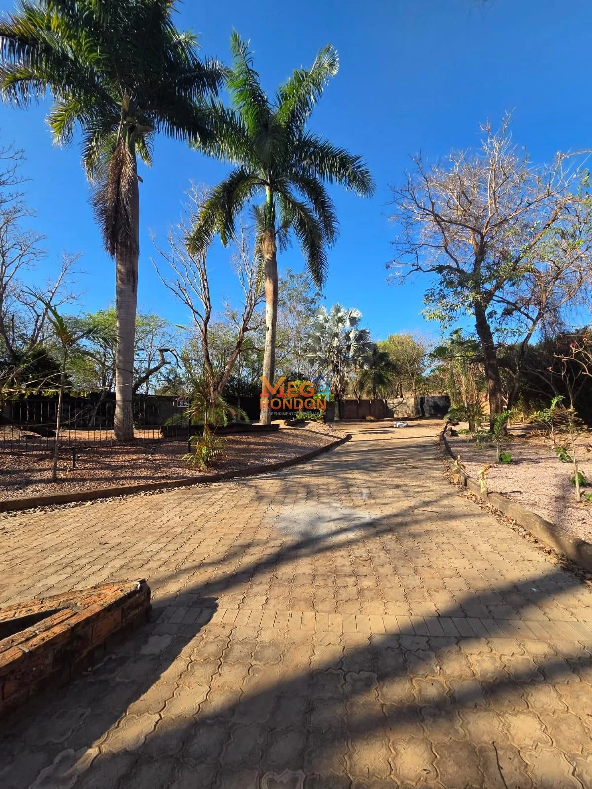 🏡 CHÁCARAS À VENDA – CHÁCARAS ADRIANA QUITO – RONDONÓPOLIS/MT — foto 6