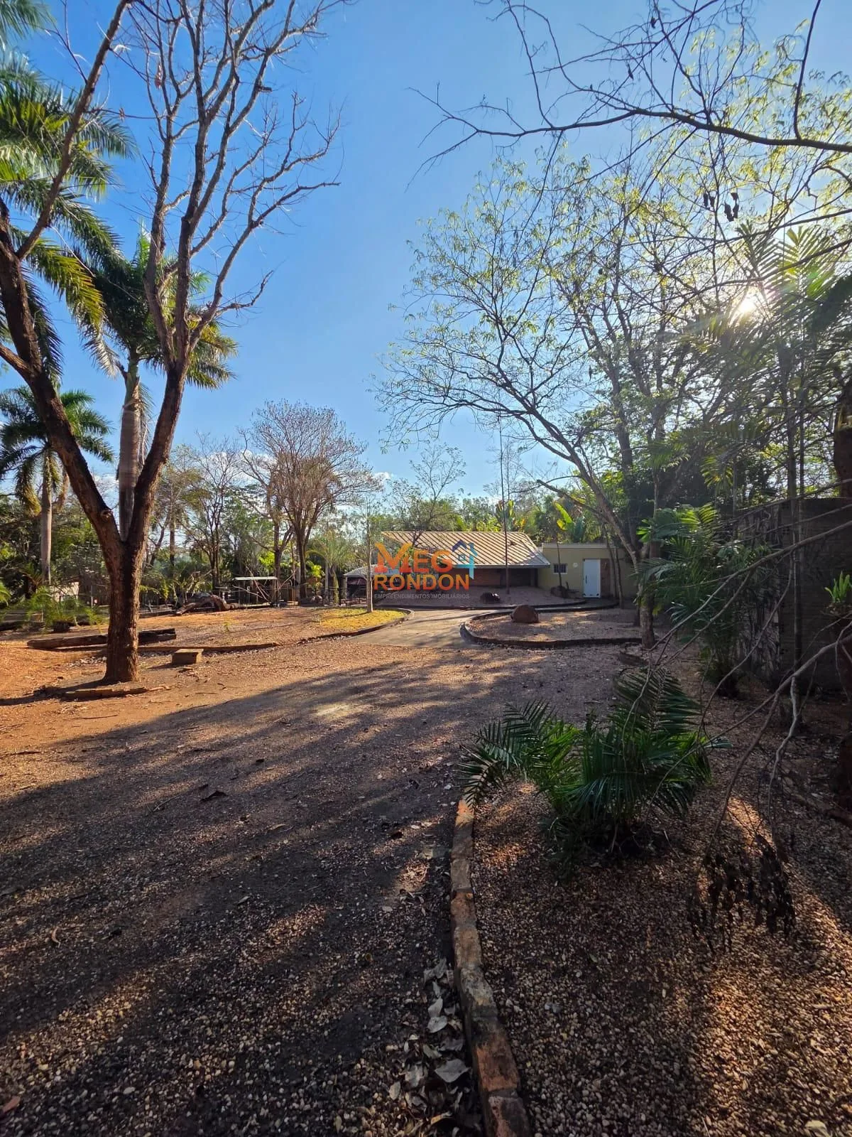 🏡 CHÁCARAS À VENDA – CHÁCARAS ADRIANA QUITO – RONDONÓPOLIS/MT — foto 10