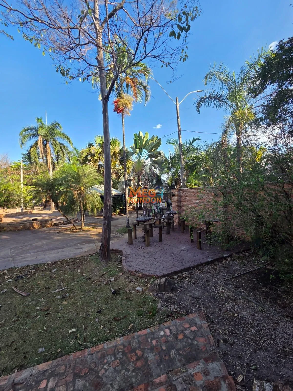 🏡 CHÁCARAS À VENDA – CHÁCARAS ADRIANA QUITO – RONDONÓPOLIS/MT — foto 14